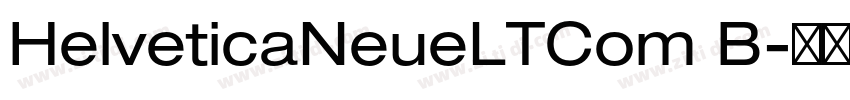 HelveticaNeueLTCom B字体转换